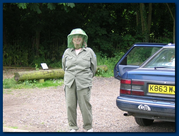 600x449 pixels (136K)